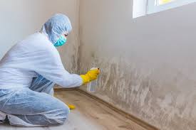 Why You Should Choose Our Mold Remediation Services in Robstown, TX